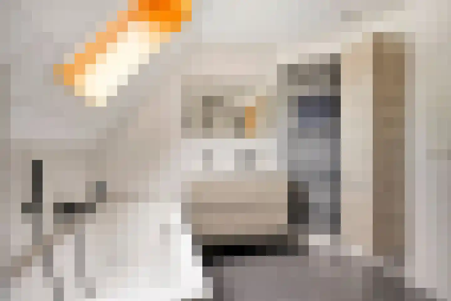 Julianalaan 21 Aarle-Rixtel thumbnail 31