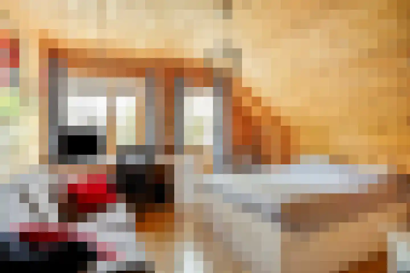Julianalaan 21 Aarle-Rixtel thumbnail 33