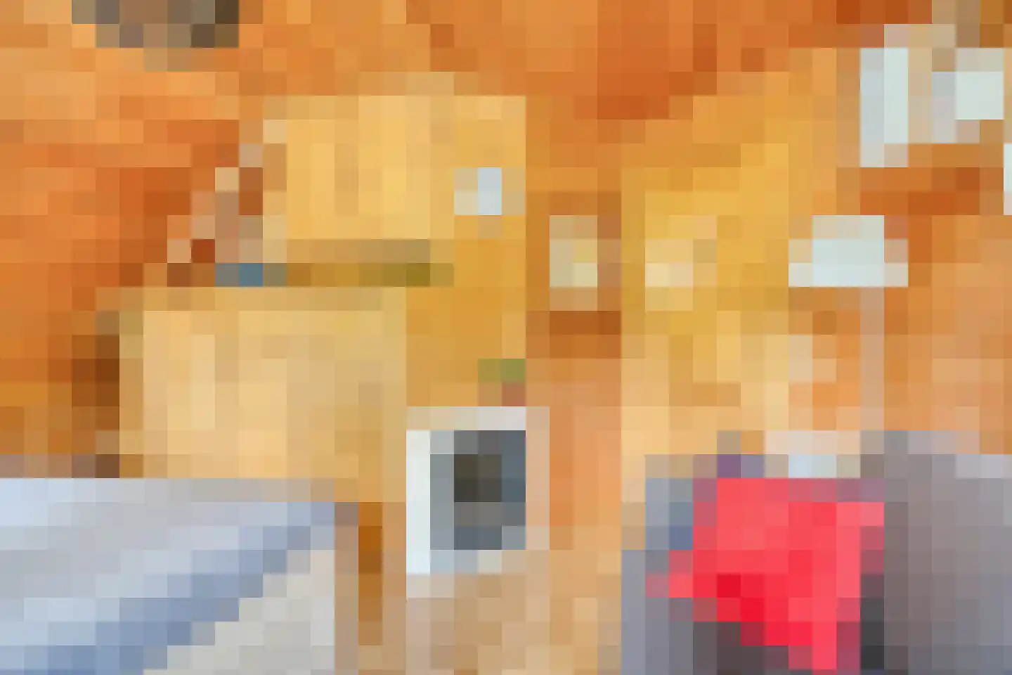 Julianalaan 21 Aarle-Rixtel thumbnail 34