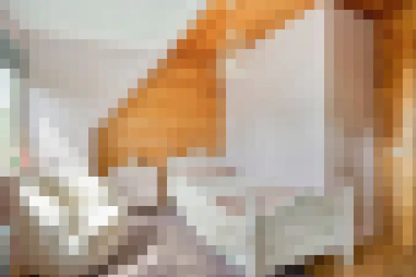 Julianalaan 21 Aarle-Rixtel thumbnail 36