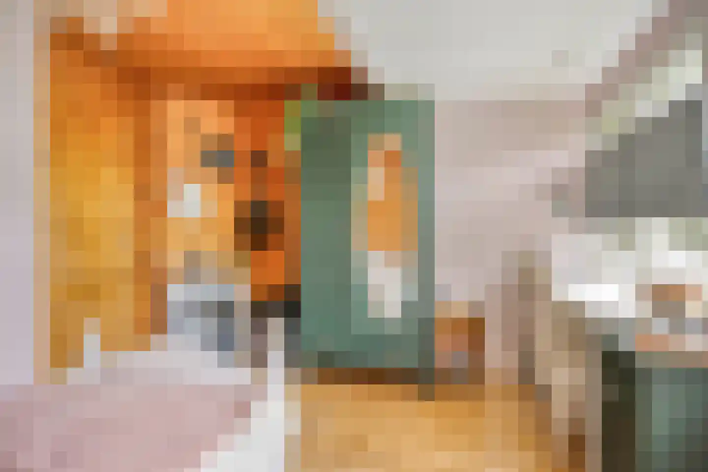 Julianalaan 21 Aarle-Rixtel thumbnail 37