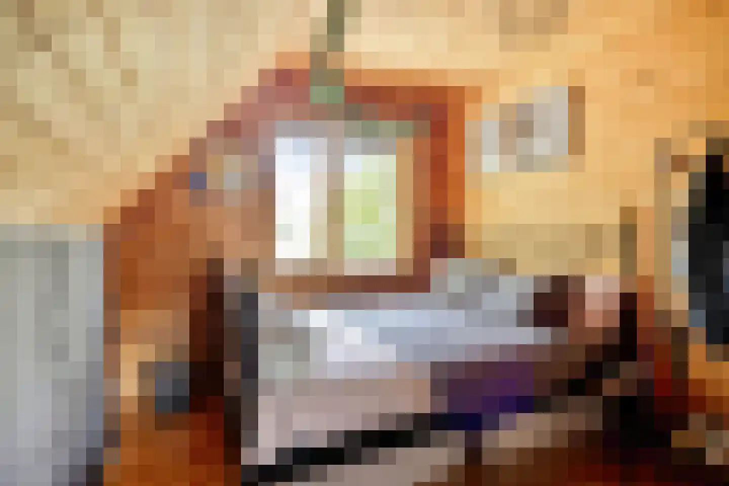 Julianalaan 21 Aarle-Rixtel thumbnail 38