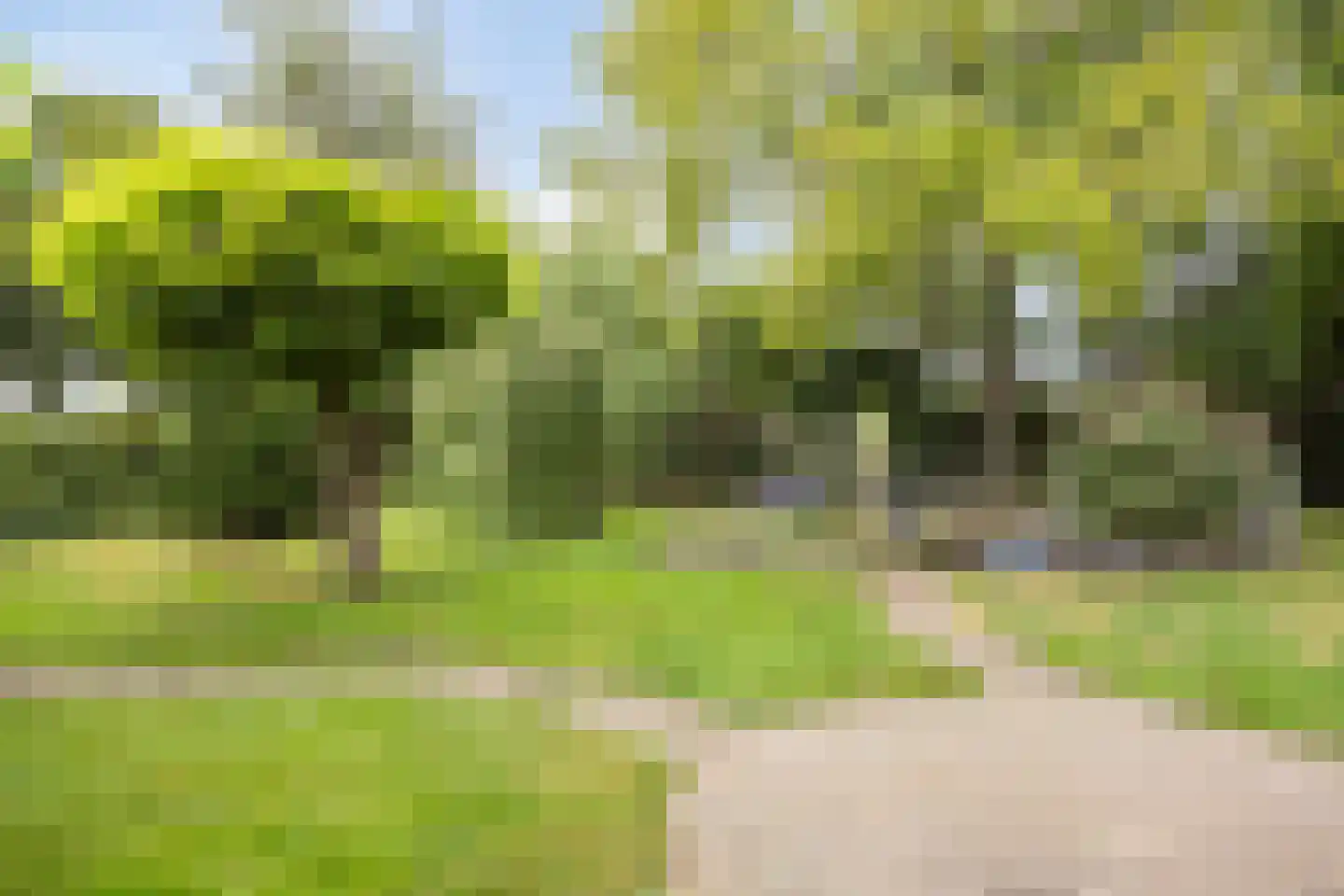 Julianalaan 21 Aarle-Rixtel thumbnail 4