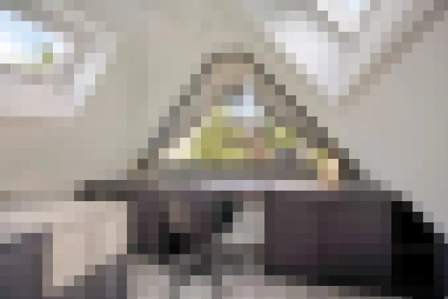 Julianalaan 21 Aarle-Rixtel thumbnail 41