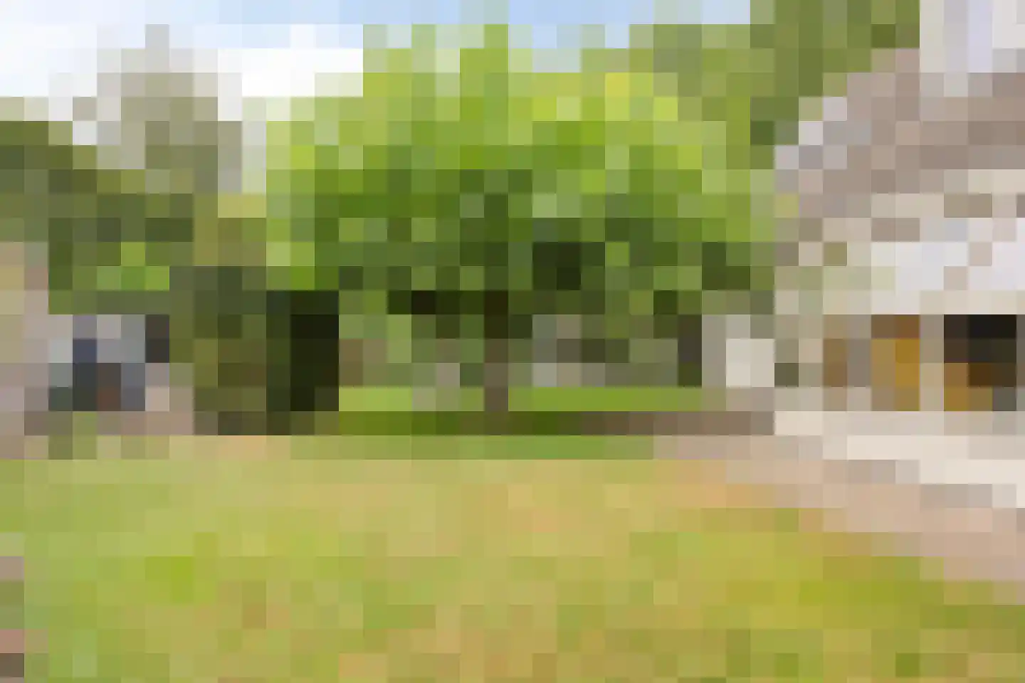 Julianalaan 21 Aarle-Rixtel thumbnail 44