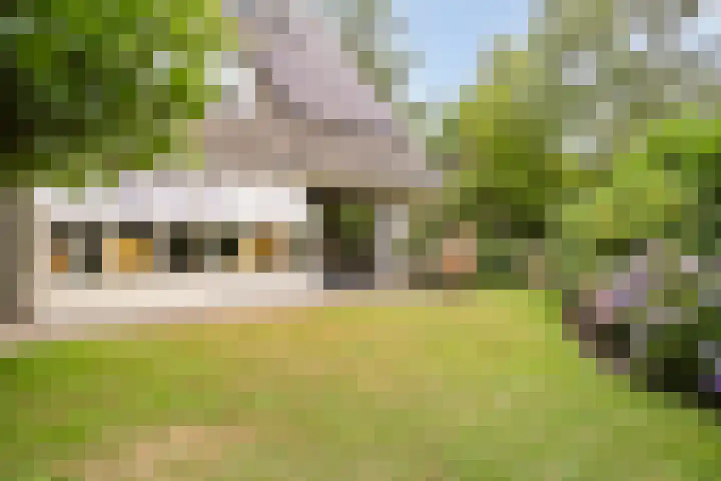 Julianalaan 21 Aarle-Rixtel thumbnail 45