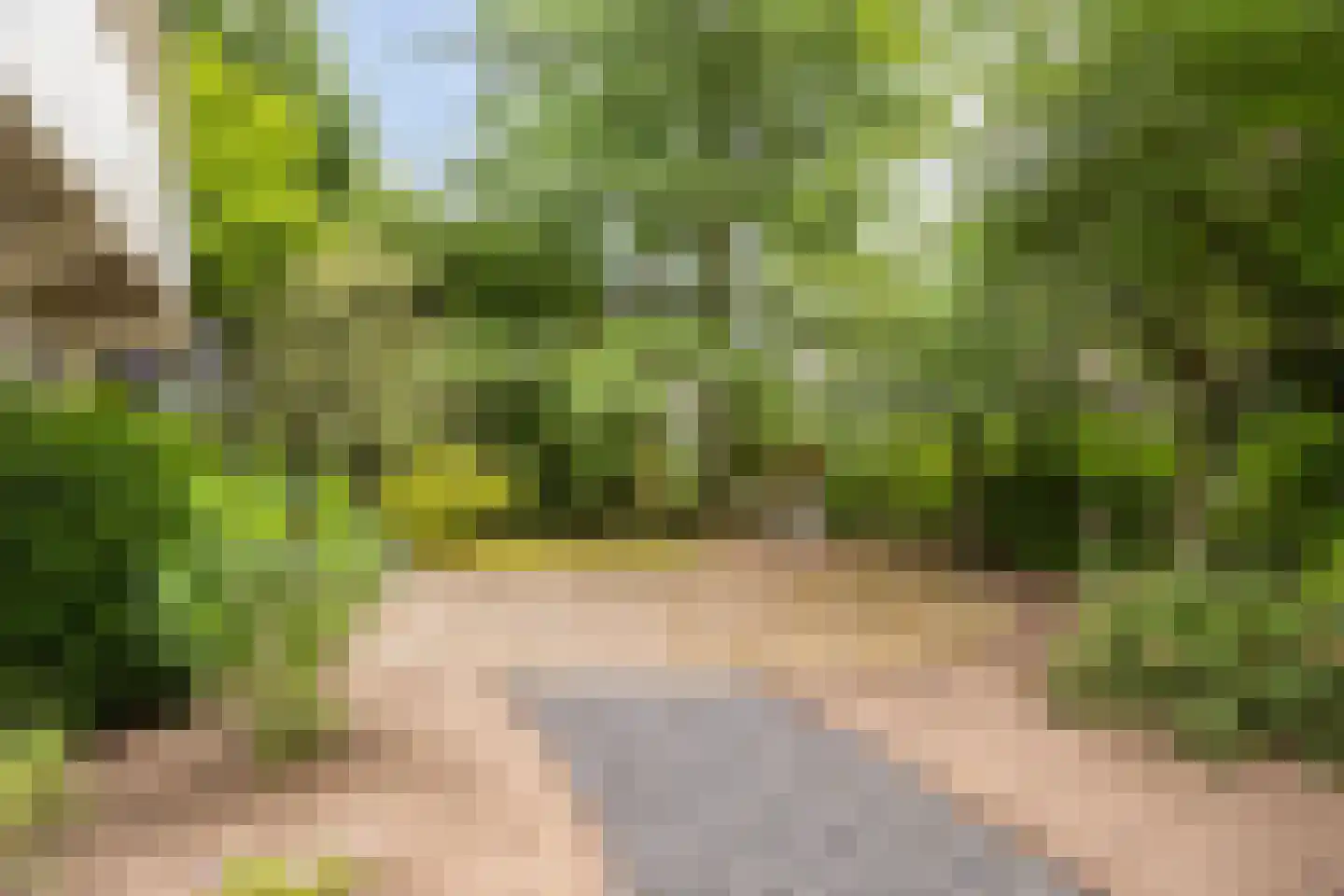 Julianalaan 21 Aarle-Rixtel thumbnail 46