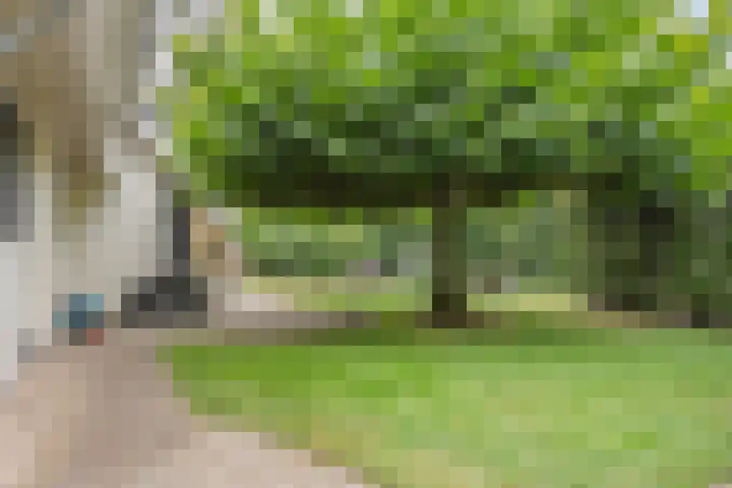 Julianalaan 21 Aarle-Rixtel thumbnail 47