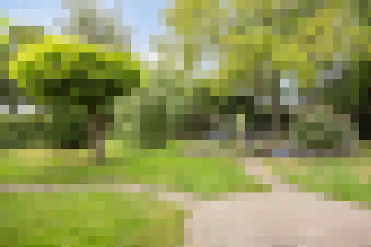Julianalaan 21 Aarle-Rixtel thumbnail 48