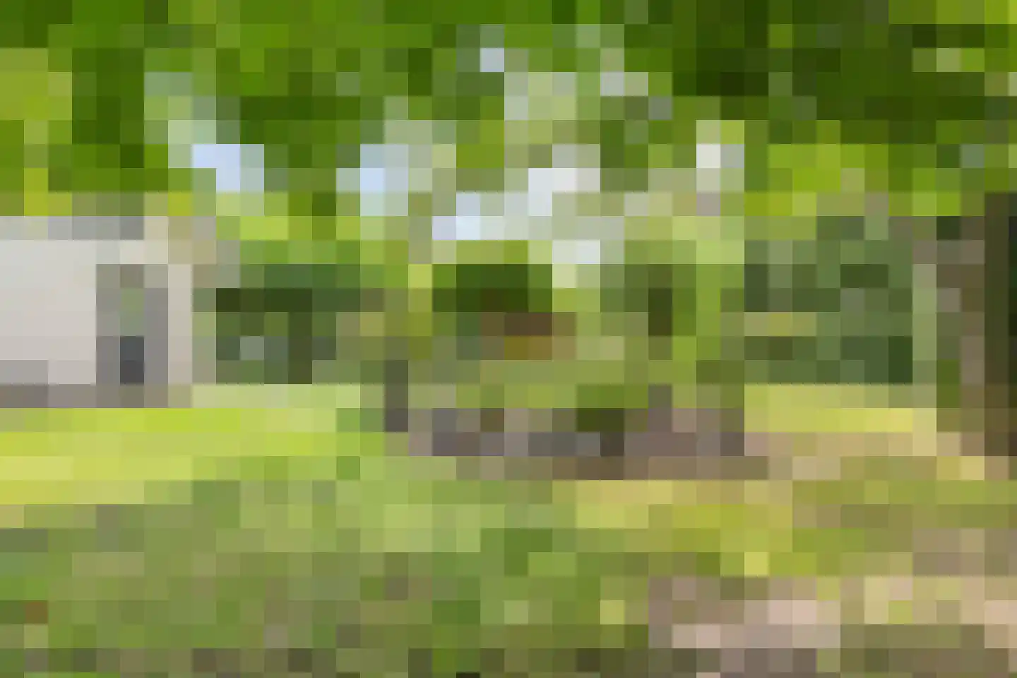 Julianalaan 21 Aarle-Rixtel thumbnail 49