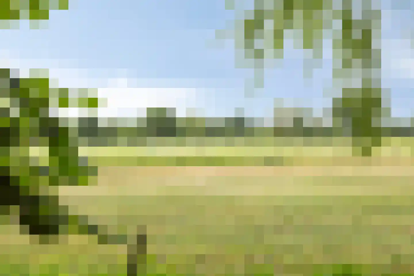 Julianalaan 21 Aarle-Rixtel thumbnail 52
