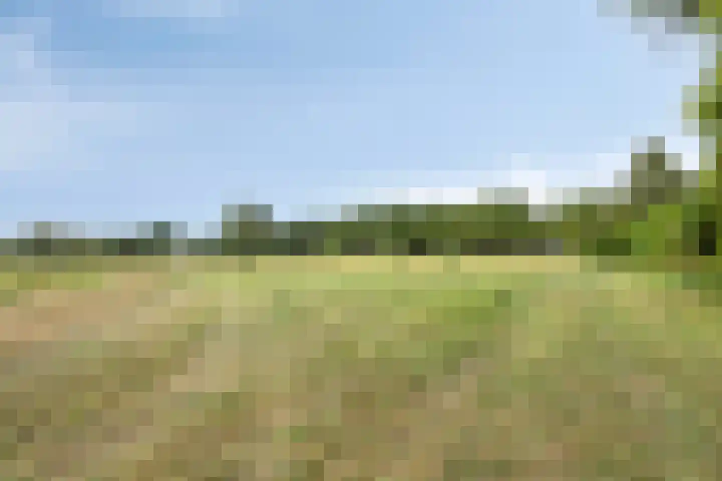 Julianalaan 21 Aarle-Rixtel thumbnail 53