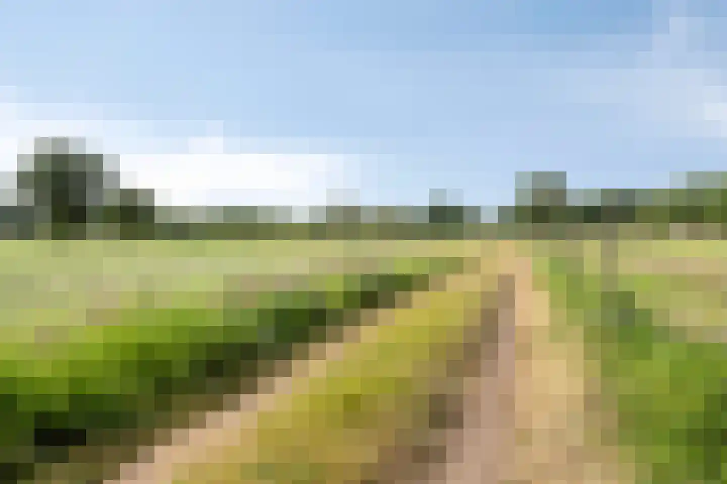 Julianalaan 21 Aarle-Rixtel thumbnail 54