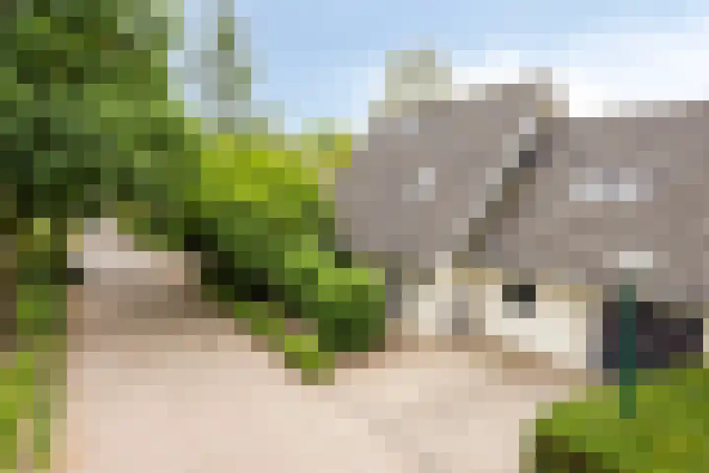 Julianalaan 21 Aarle-Rixtel thumbnail 6