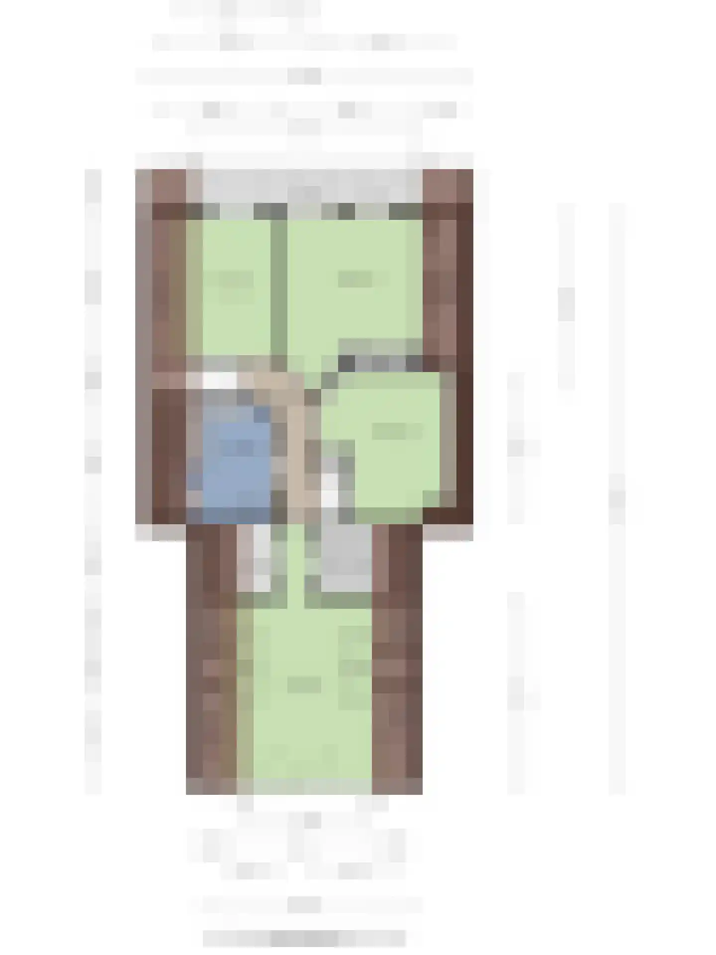 Julianalaan 21 Aarle-Rixtel thumbnail 61