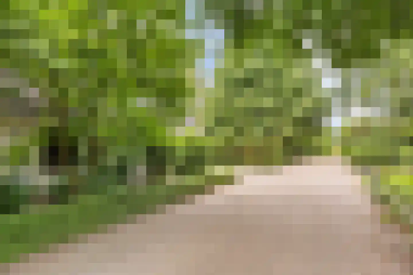 Julianalaan 21 Aarle-Rixtel thumbnail 9