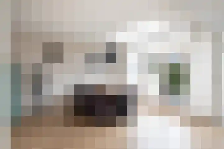 Julianalaan 21 Harmelen thumbnail 10