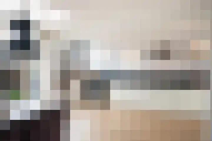 Julianalaan 21 Harmelen thumbnail 13