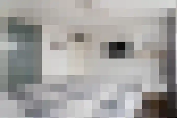 Julianalaan 21 Harmelen thumbnail 20