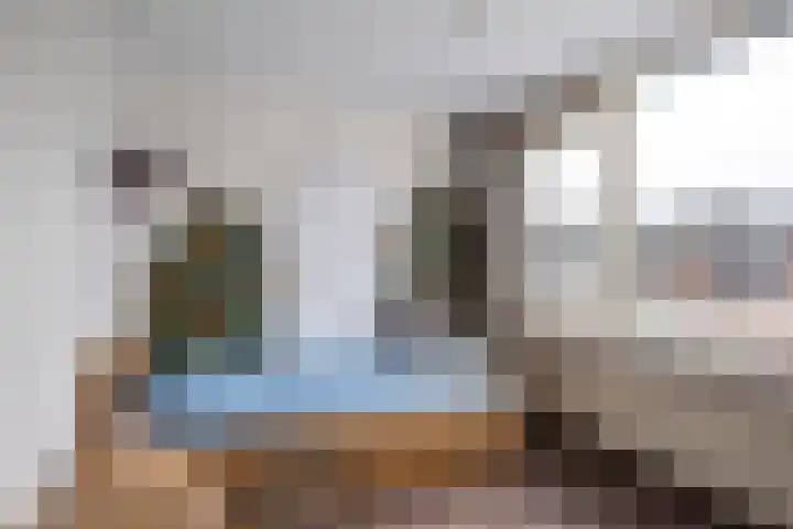 Julianalaan 21 Harmelen thumbnail 23