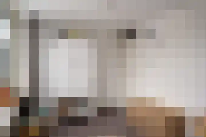 Julianalaan 21 Harmelen thumbnail 24