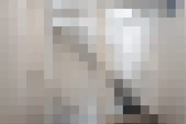 Julianalaan 21 Harmelen thumbnail 30