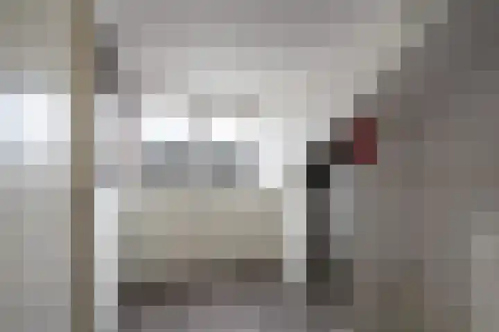 Julianalaan 21 Harmelen thumbnail 34