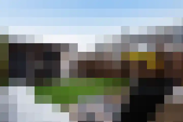 Julianalaan 21 Harmelen thumbnail 38