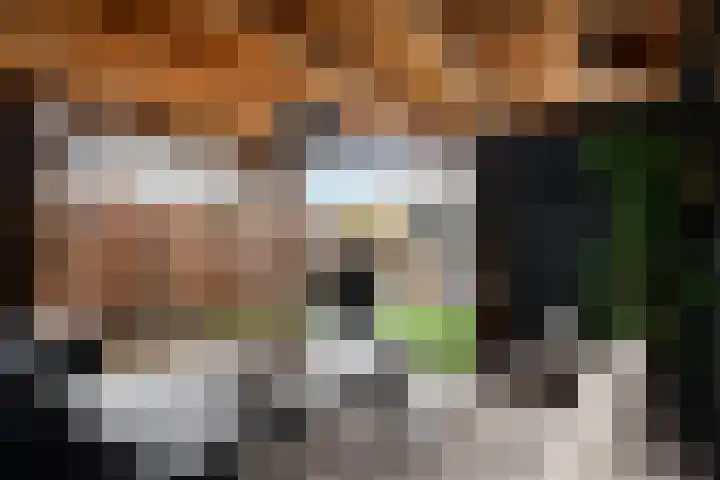 Julianalaan 21 Harmelen thumbnail 42