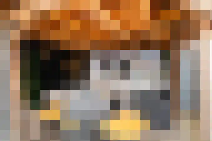 Julianalaan 21 Harmelen thumbnail 43