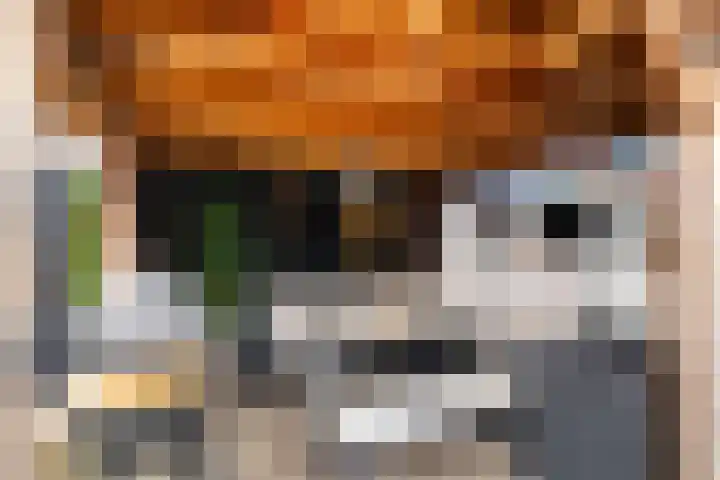 Julianalaan 21 Harmelen thumbnail 44