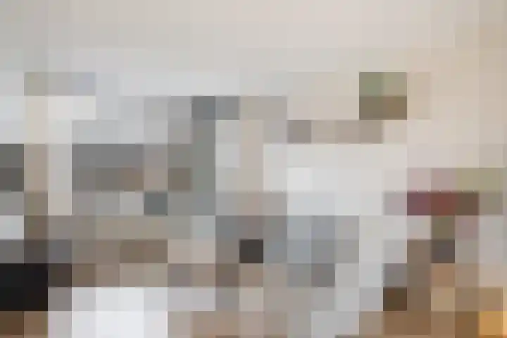 Julianalaan 21 Harmelen thumbnail 6