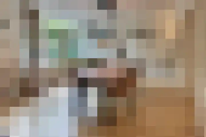 Julianalaan 22 Harderwijk thumbnail 10