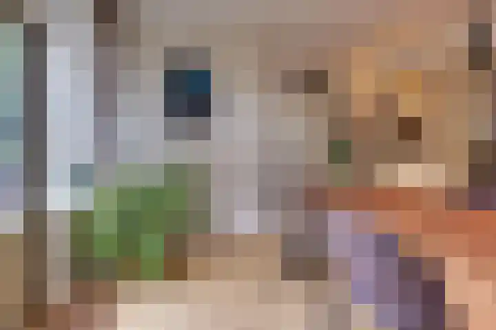 Julianalaan 22 Harderwijk thumbnail 15