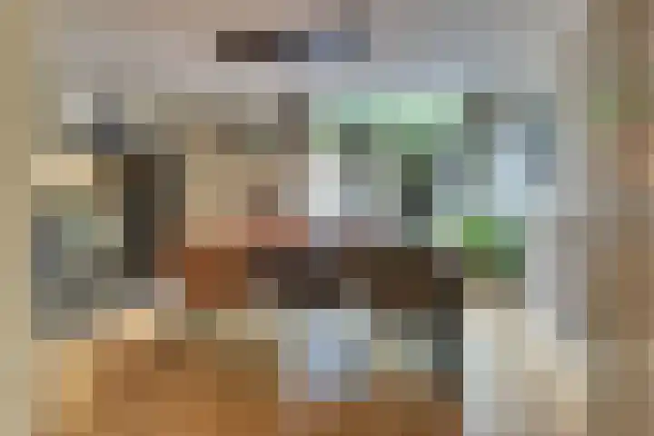Julianalaan 22 Harderwijk thumbnail 23