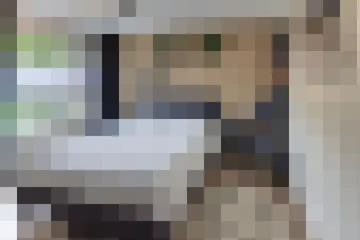 Julianalaan 22 Harderwijk thumbnail 25