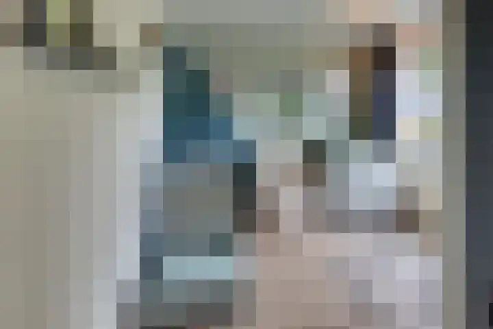 Julianalaan 22 Harderwijk thumbnail 27