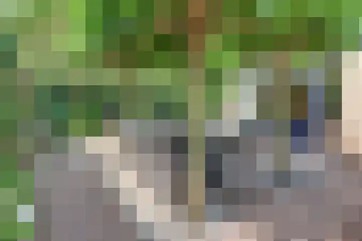 Julianalaan 22 Harderwijk thumbnail 39