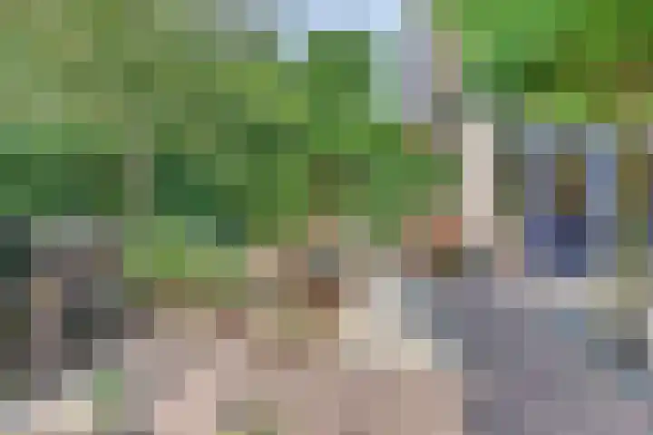 Julianalaan 22 Harderwijk thumbnail 41
