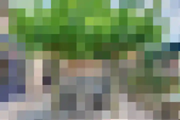 Julianalaan 22 Harderwijk thumbnail 42