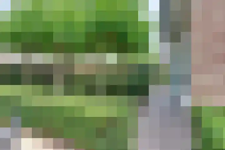 Julianalaan 22 Harderwijk thumbnail 46