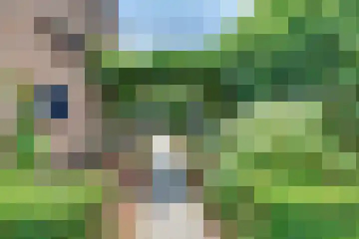 Julianalaan 22 Harderwijk thumbnail 47