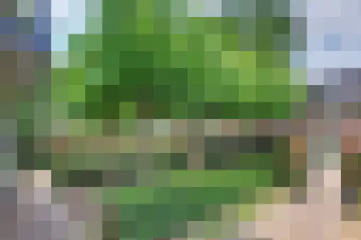 Julianalaan 22 Harderwijk thumbnail 48