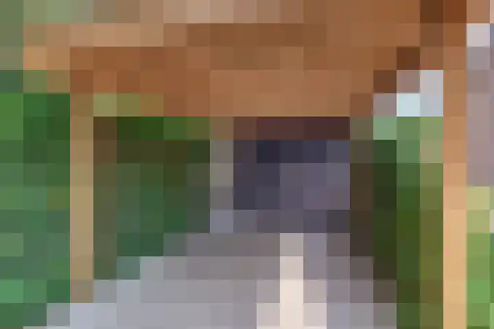 Julianalaan 22 Harderwijk thumbnail 51