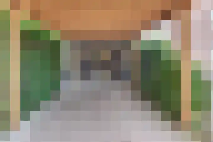 Julianalaan 22 Harderwijk thumbnail 52
