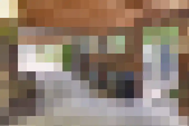 Julianalaan 22 Harderwijk thumbnail 54