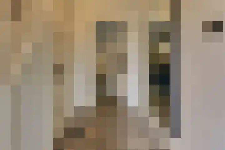 Julianalaan 22 Harderwijk thumbnail 6