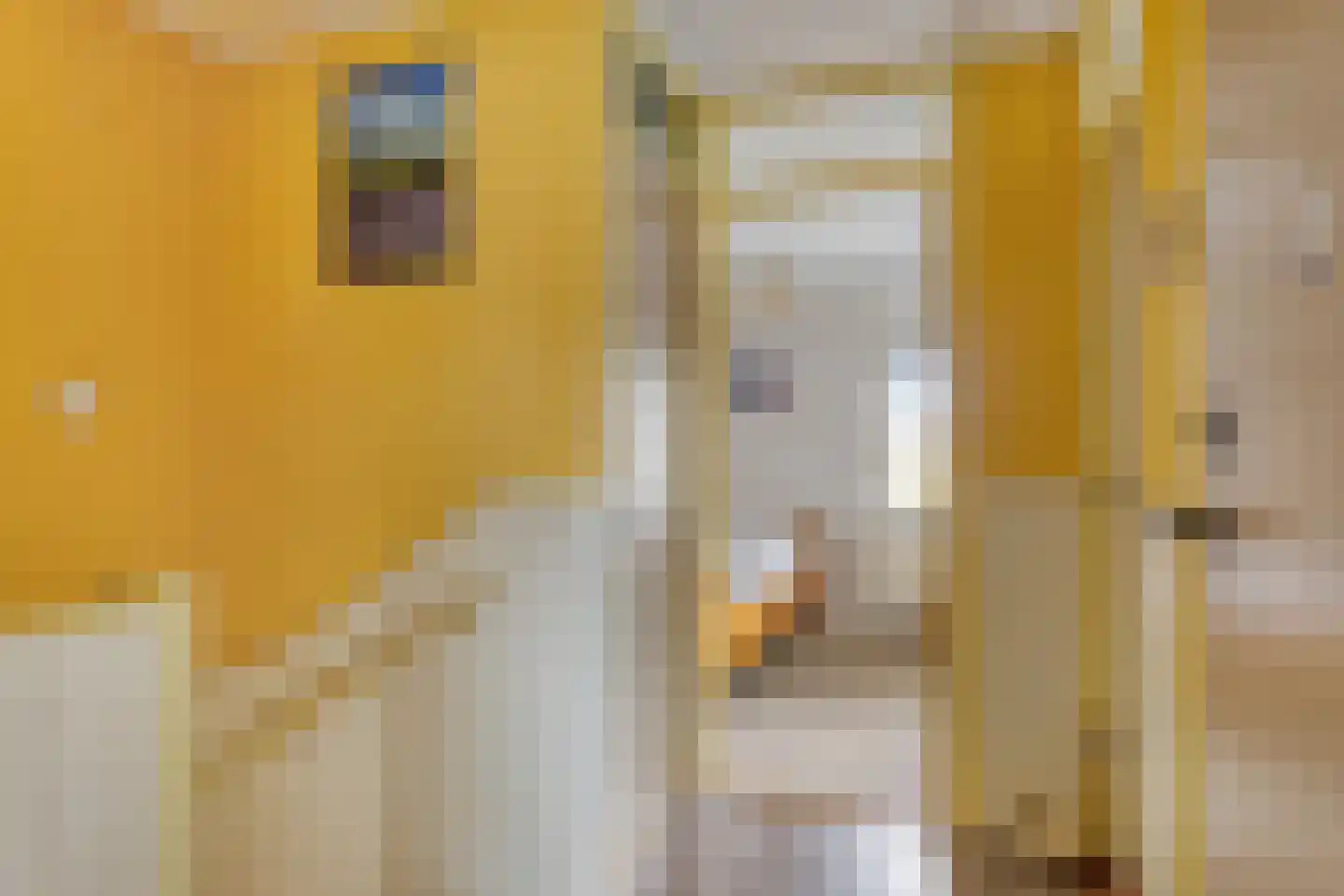 Julianalaan 22 Heerde thumbnail 13