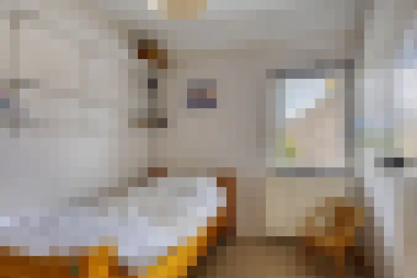 Julianalaan 22 Heerde thumbnail 17