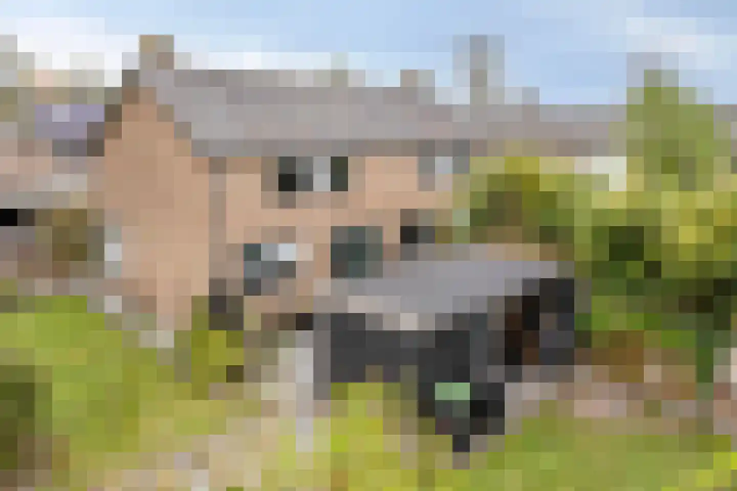 Julianalaan 22 Heerde thumbnail 26